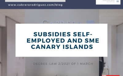 SUBSIDIES FROM THE GOVERNMENT OF THE CANARY ISLANDS FOR THE SELF-EMPLOYED AND SMEs AFFECTED BY THE CRISIS ARISING FROM COVID-19 (DECREE-LAW 2/2021, OF 1 MARCH)